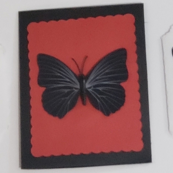 Meet Kayla Ellise - Picture 8 of 16